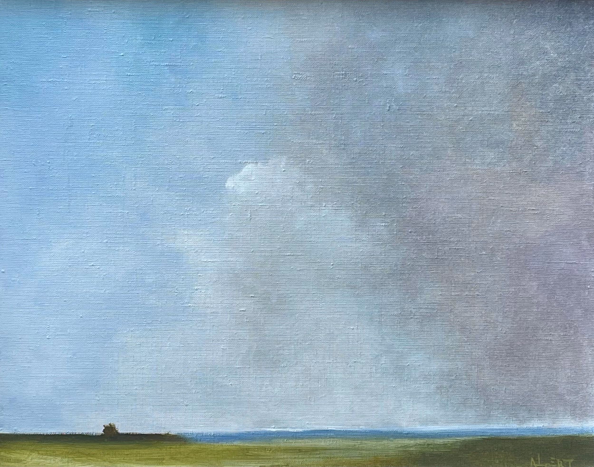 Wetlands Storm