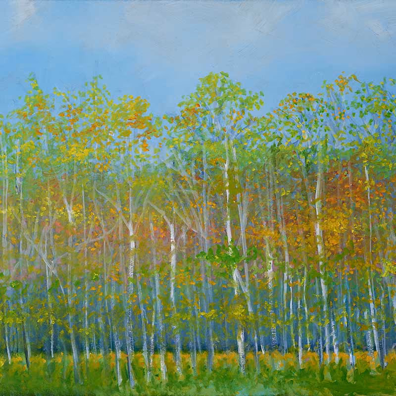 Orchestra of Trees