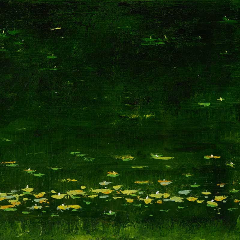 Pond