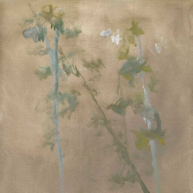 En, Invisible Connection