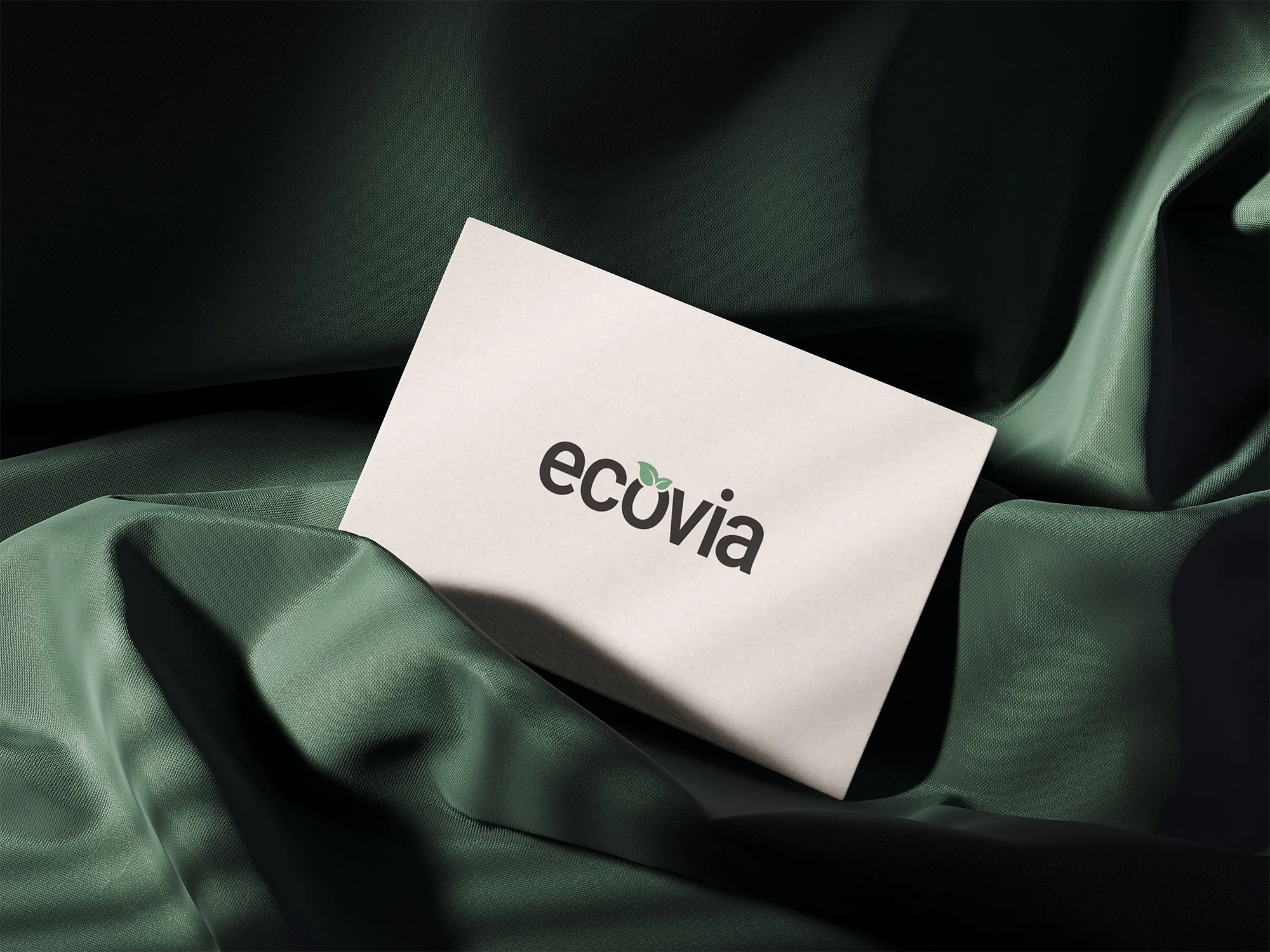 Ecovia logo printed on a white business card resting on dark green fabric.
