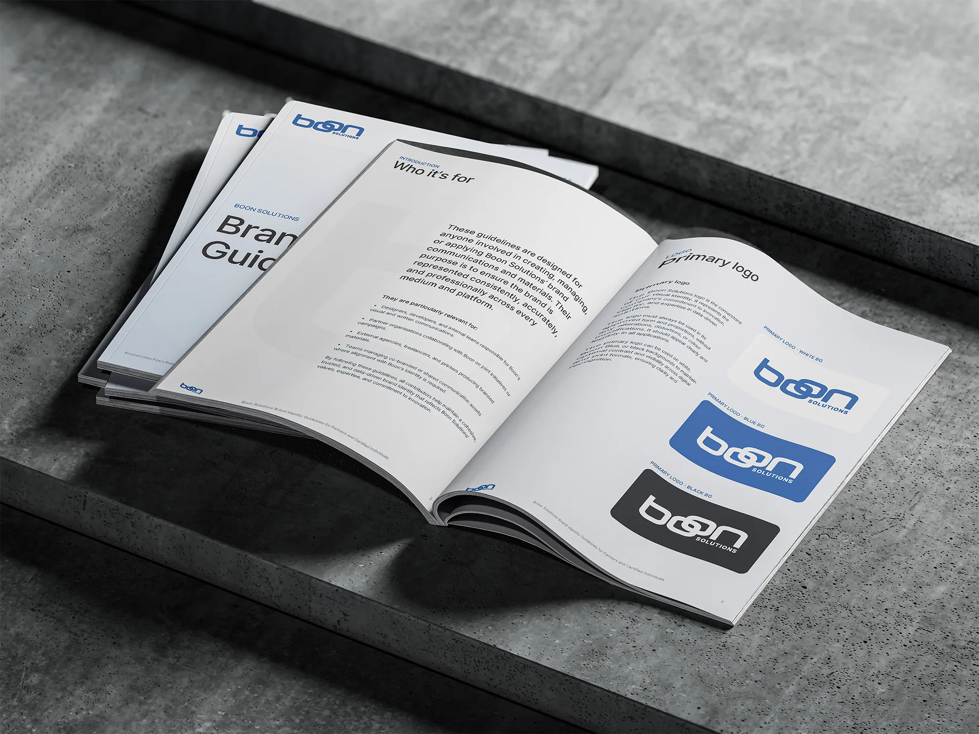 Open Boon Solutions brand guide showing logo variations and brand usage guidelines.