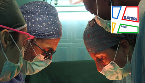 Care to Translate welcomes A.Cross as nonprofit partner