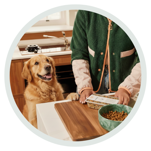 A human + his/her dog