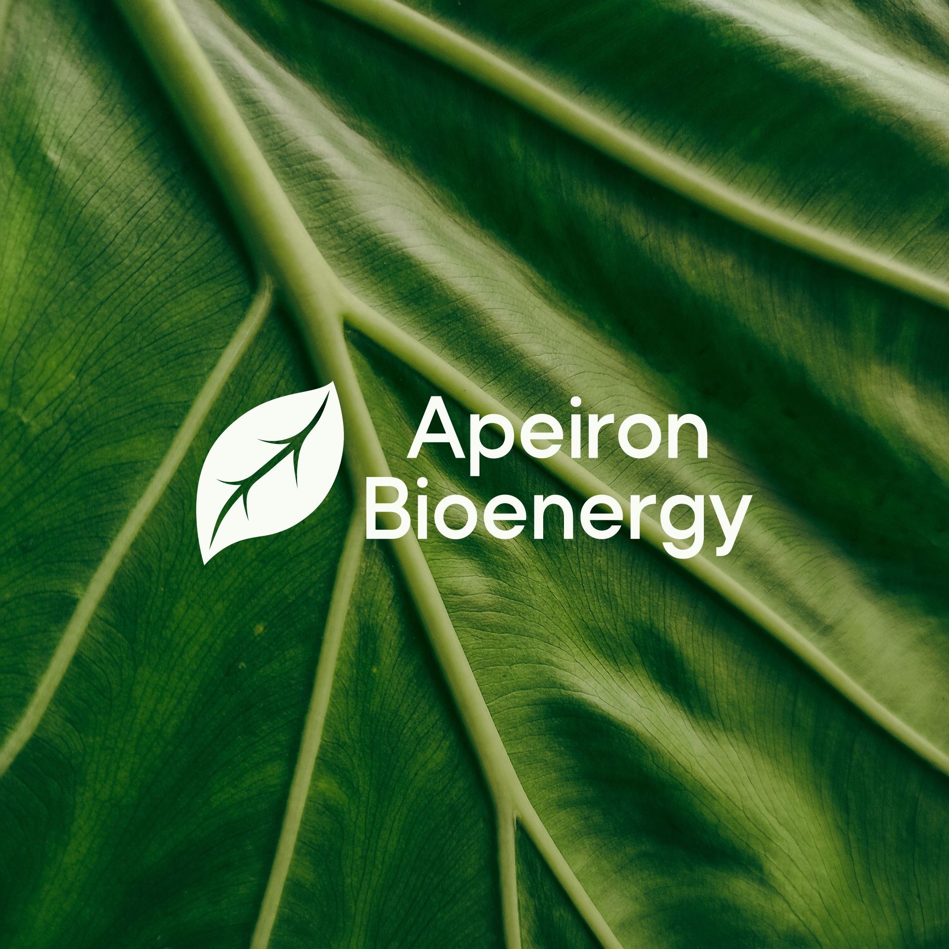 Rebrand cover for Apeiron Bioenergy — fresh visual identity and web design for a renewable energy company