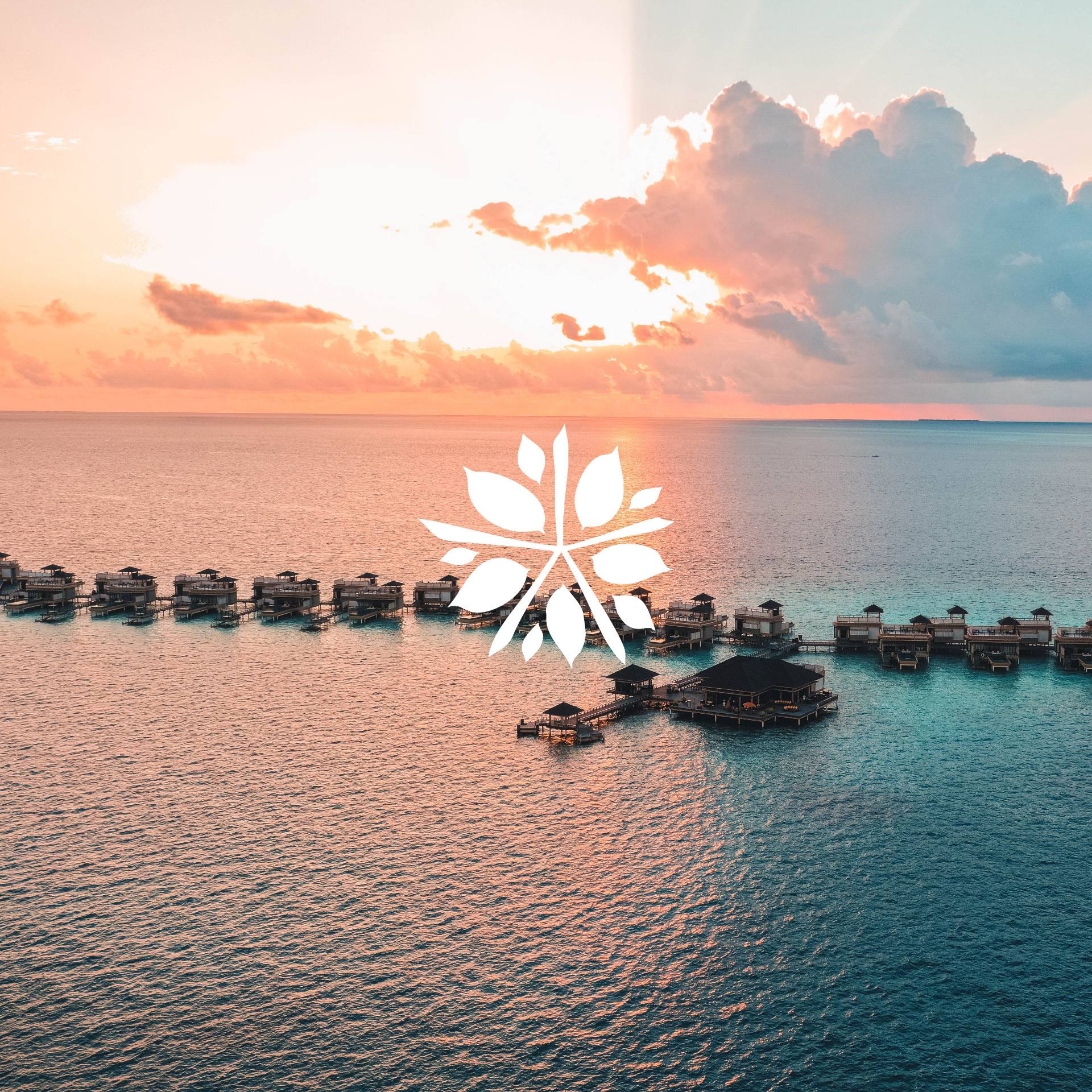 Brand repositioning cover for Angsana Hotels — lifestyle brand identity in a competitive hospitality landscape