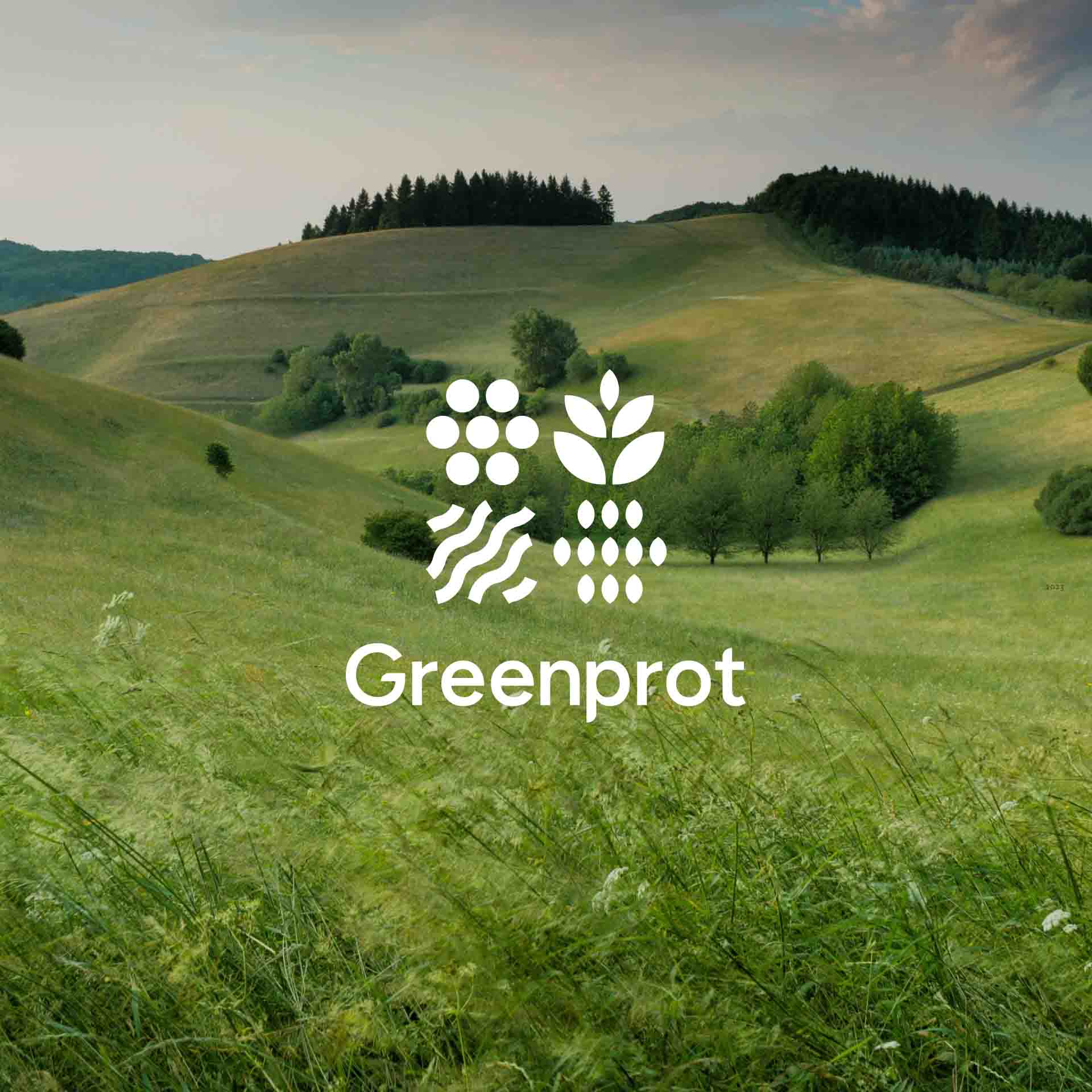 Project cover for Greenprot — branding and e-commerce design for a sustainable food startup