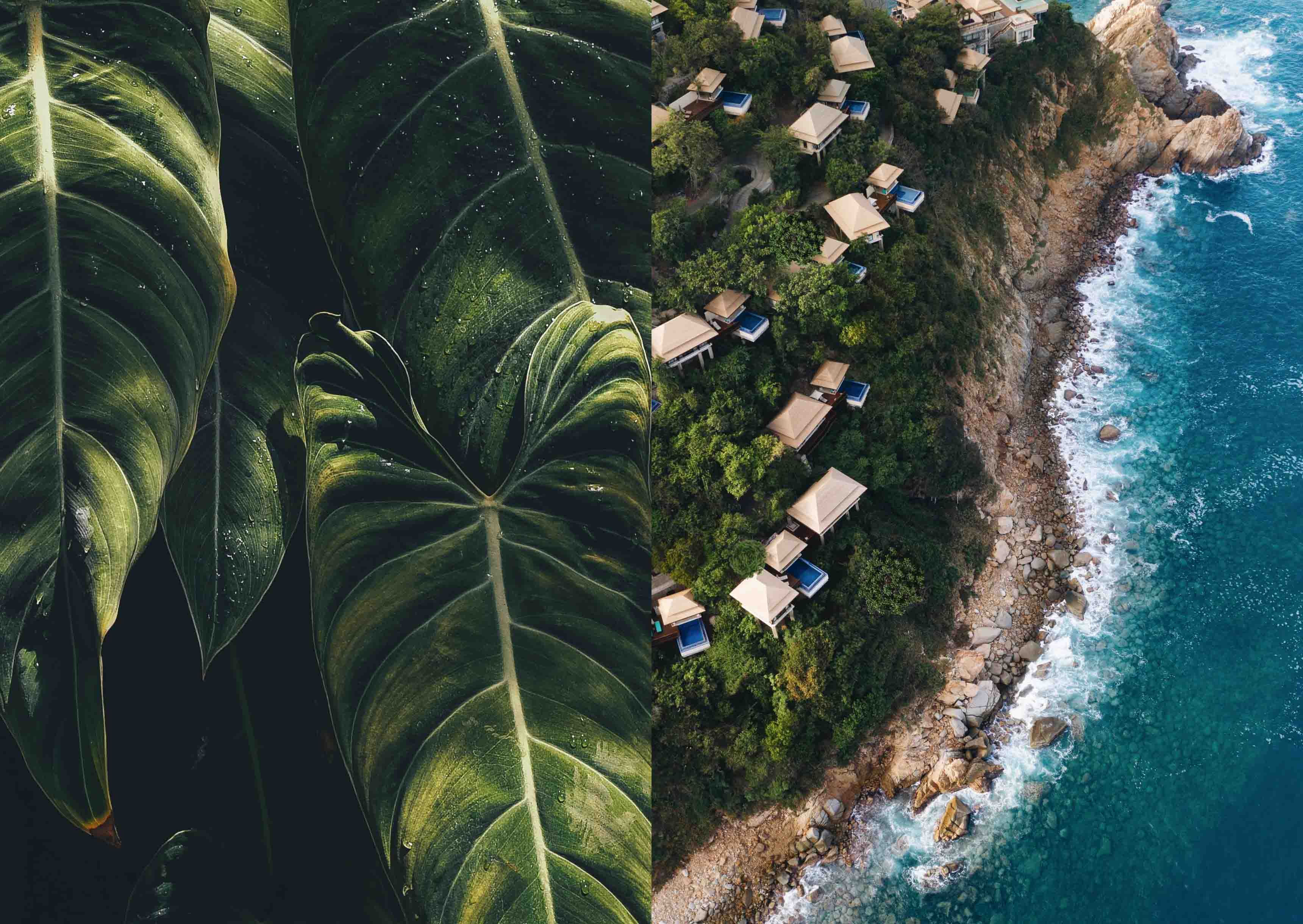 Digital experience and brand visual overhaul for Banyan Tree Hotels & Resorts — Asia's leading luxury hotel brand