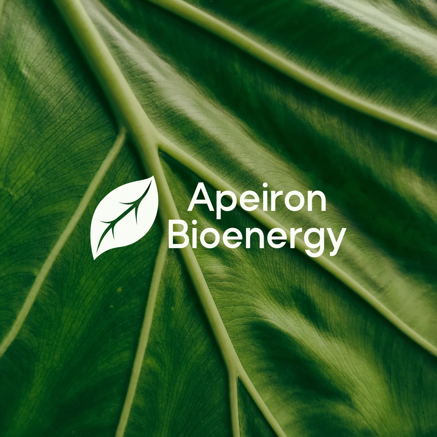 Apeiron Bioenergy