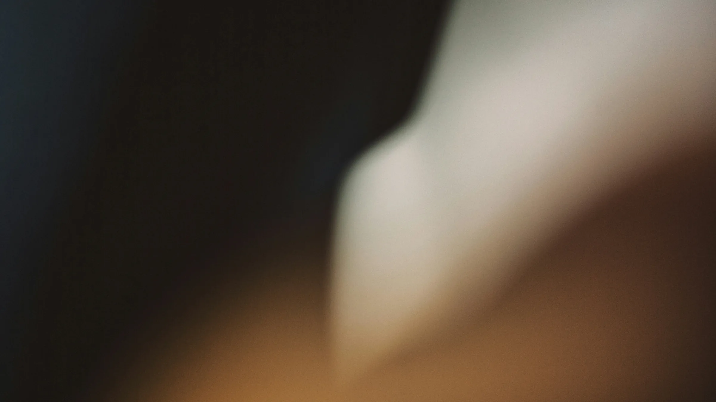 Webflow or WordPress for your hotel? A hotelier's comparison, with the five-year costs