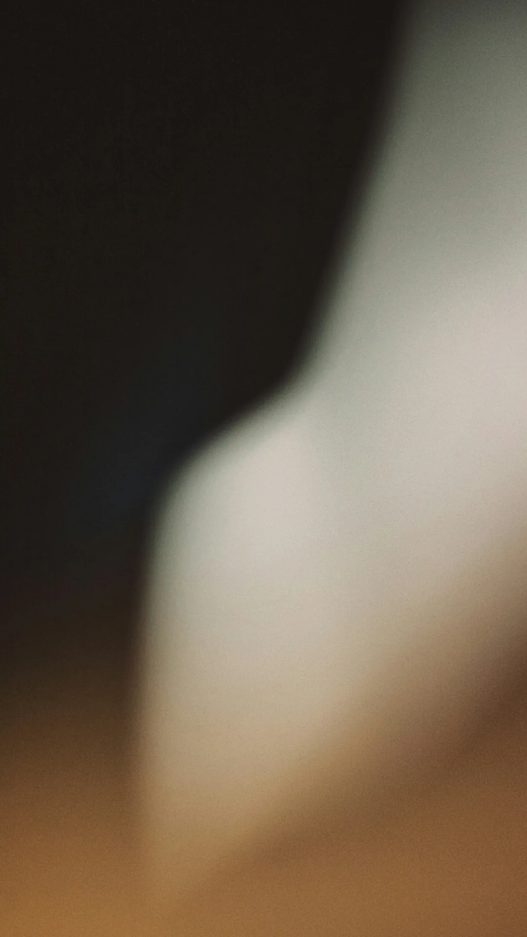 Webflow or WordPress for your hotel? A hotelier's comparison, with the five-year costs