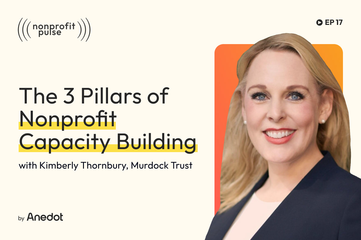 Nonprofit Leadership: The 3 Pillars of Nonprofit Capacity Building