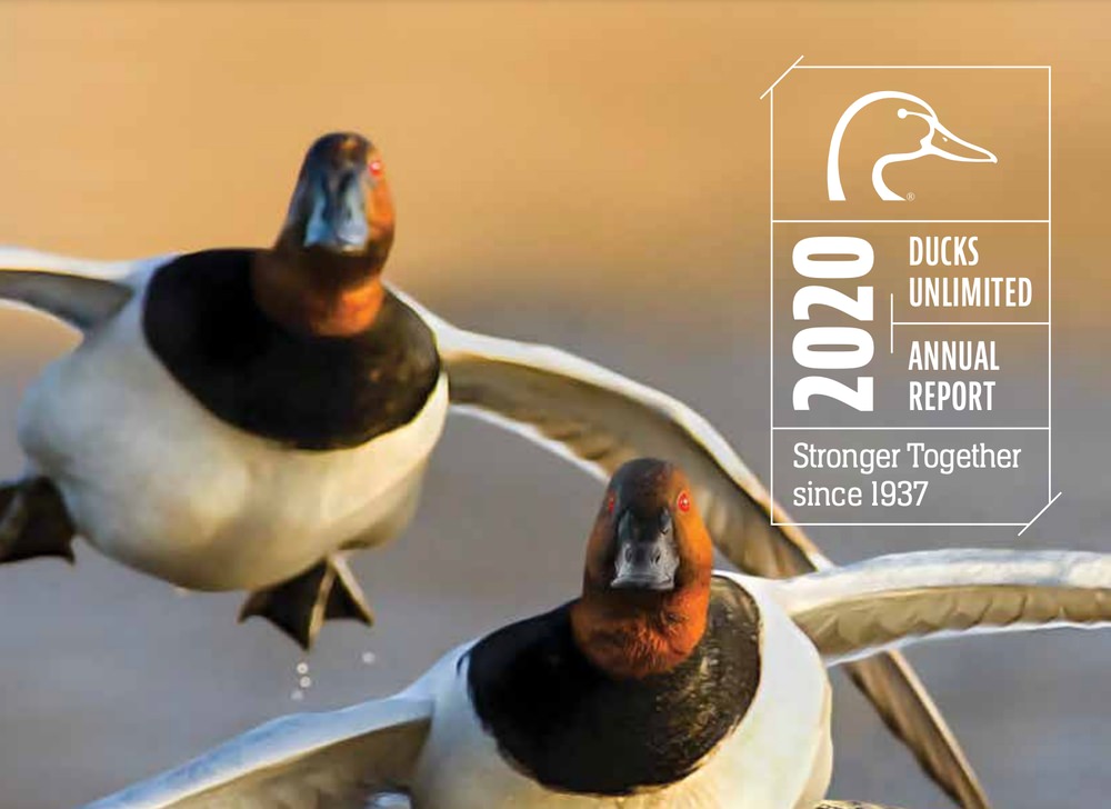 Ducks Unlimited annual report example