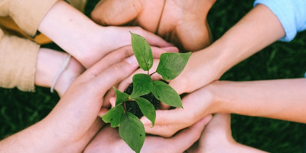 a parachurch is accountable and transparent