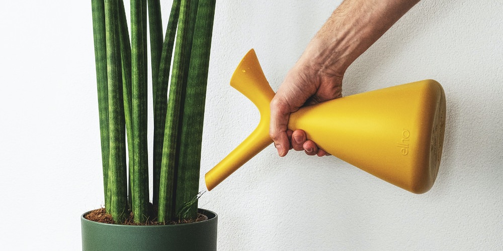 What is donor engagement