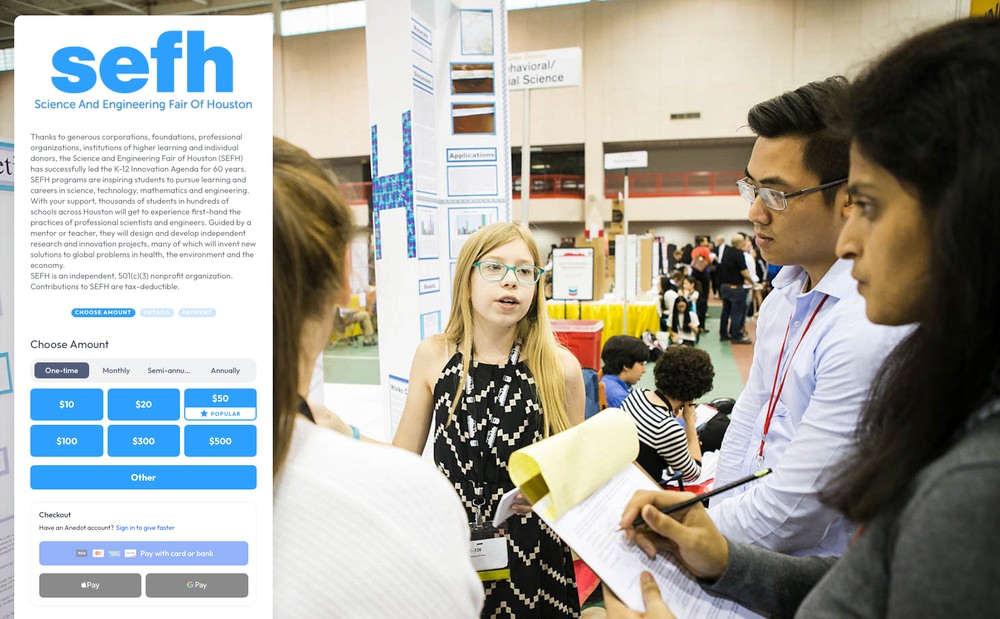 SEFH Action Page Example