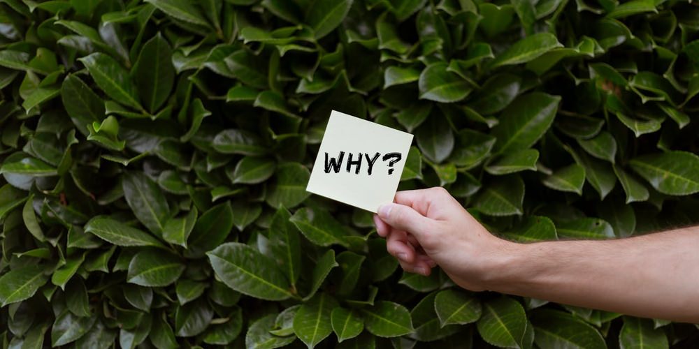 Question 1: “Why should I care?”