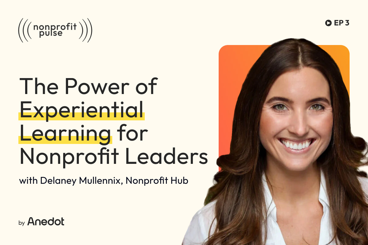 Nonprofit Leadership Development: Learn by Doing