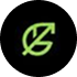 EverRaise
