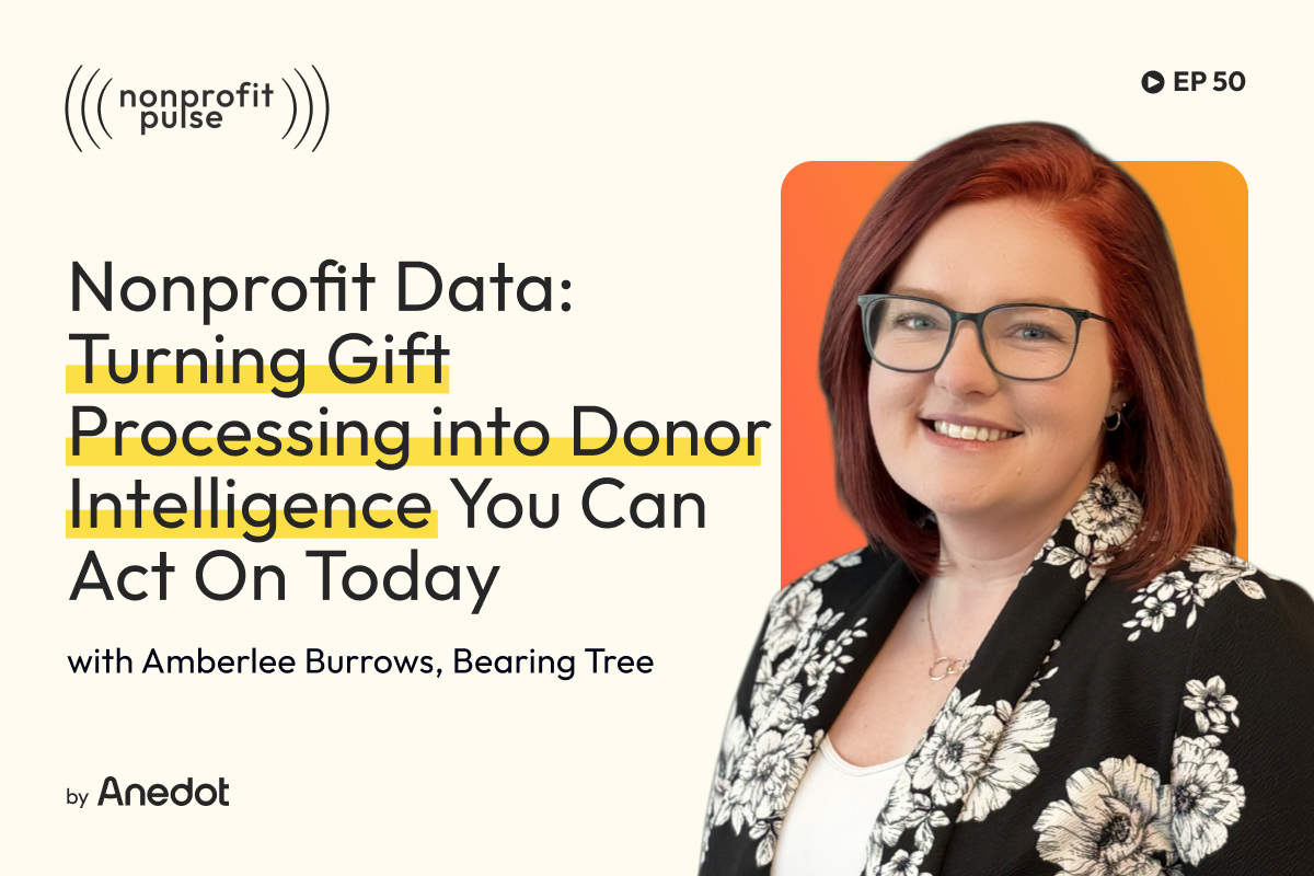 Nonprofit Data Strategy
