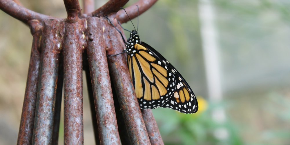 Low-cost ways a small team can make donors feel they matter