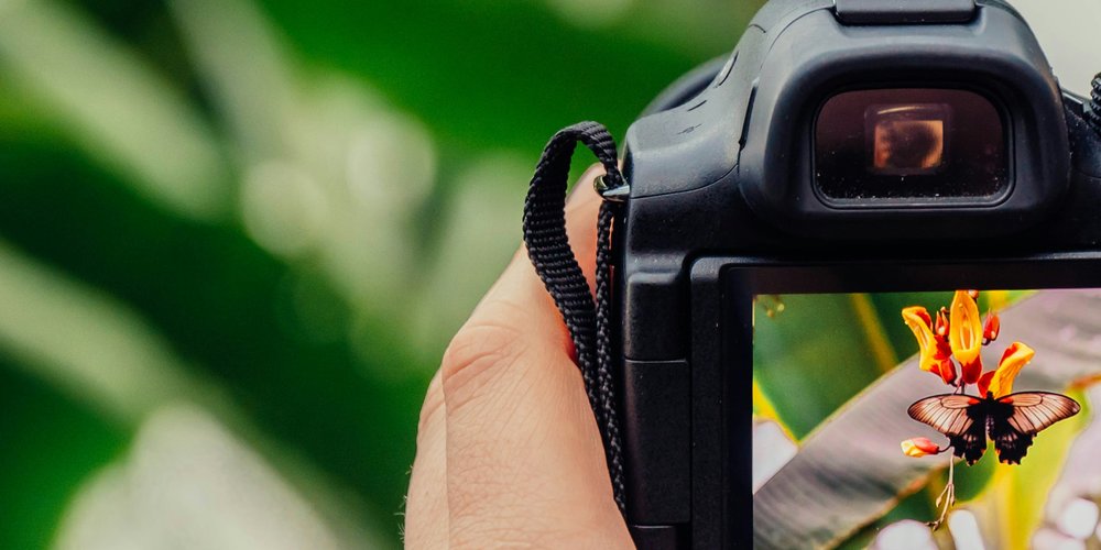 Why quality matters in membership storytelling