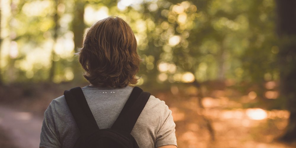Young person with a backpack, seen from behind, looking out over a sunlit forest trail