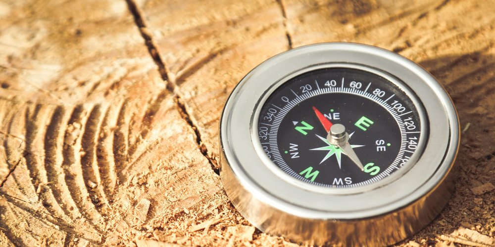 Silver orienteering compass resting on a sunlit tree stump