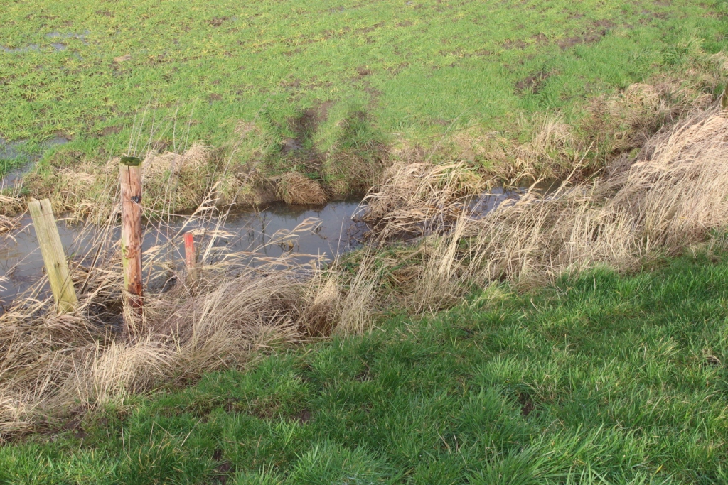 Seitenarm (2)