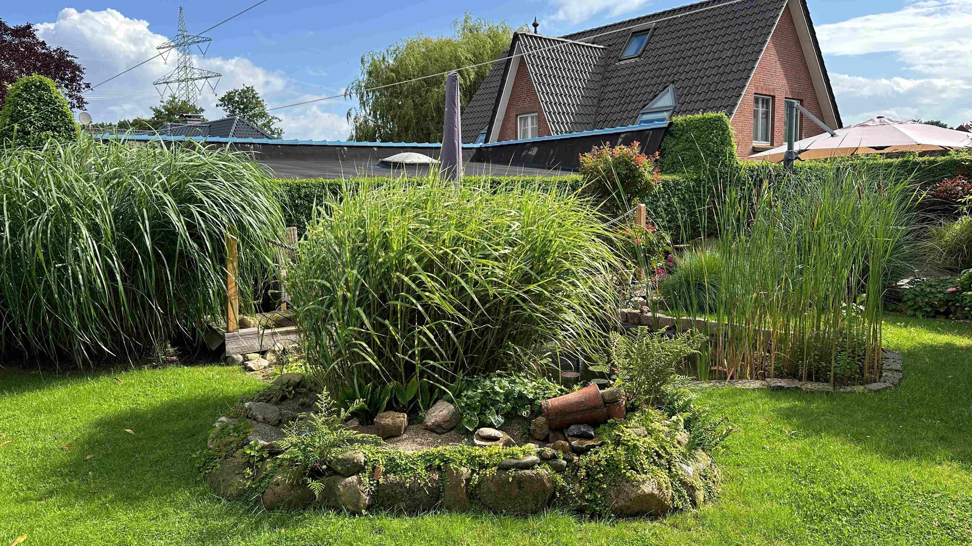 Garten 2
