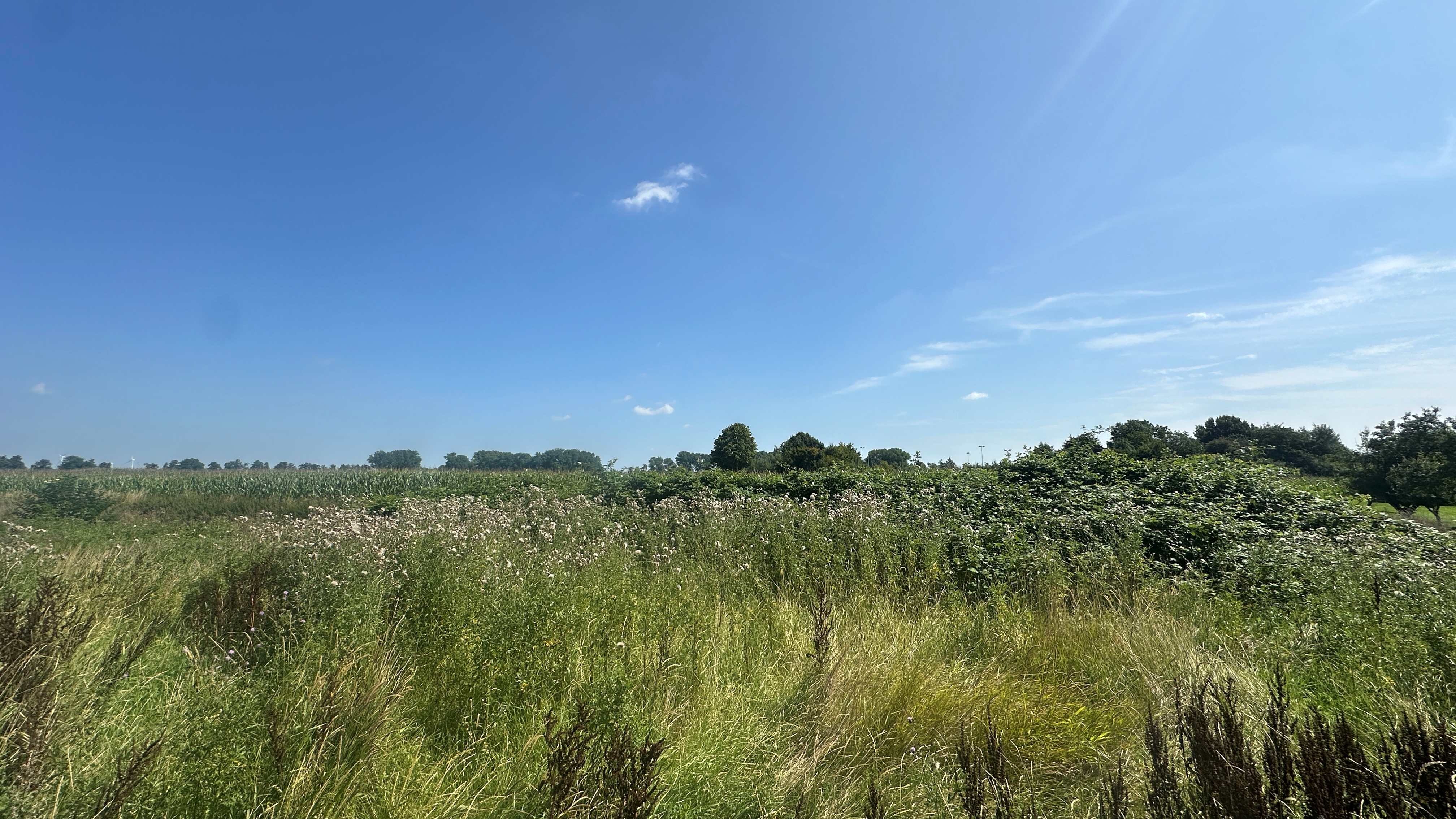 Attraktives Baugrundstück (796 m²) in Seestermühe – Wohnen im Dorf