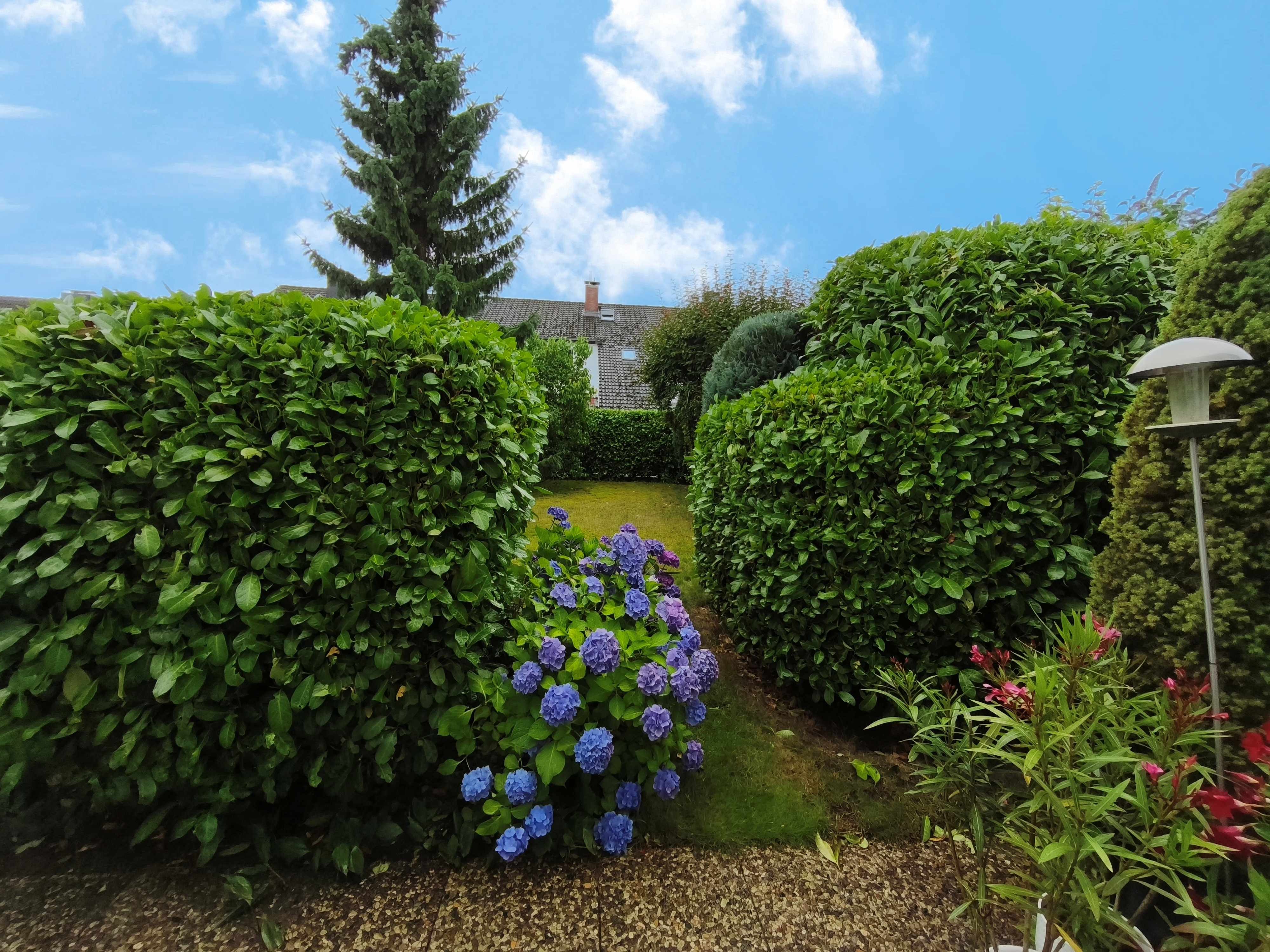 Terrassenbereich mit Blick in den Garten II