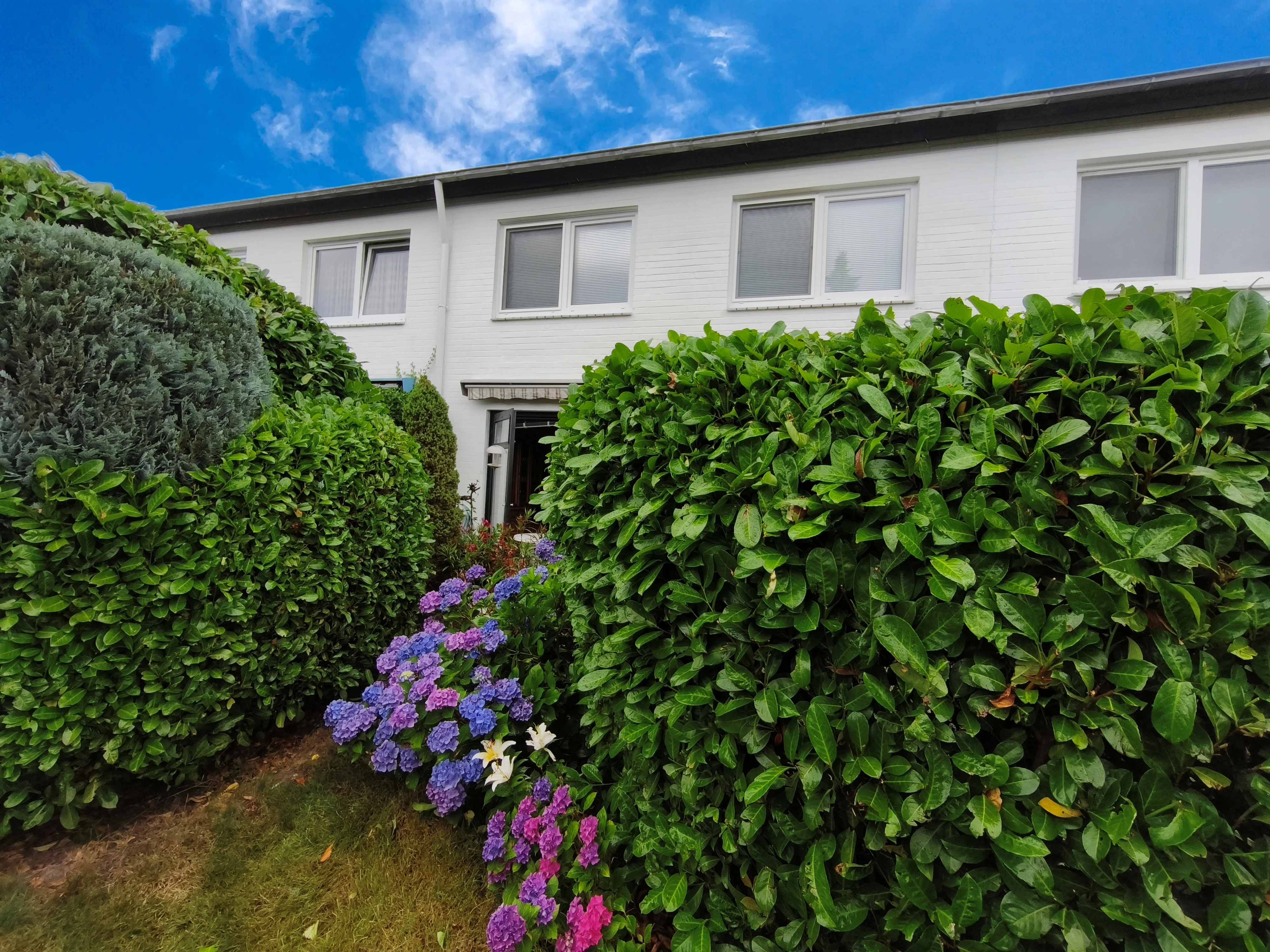 Außenansicht - Rückseite II