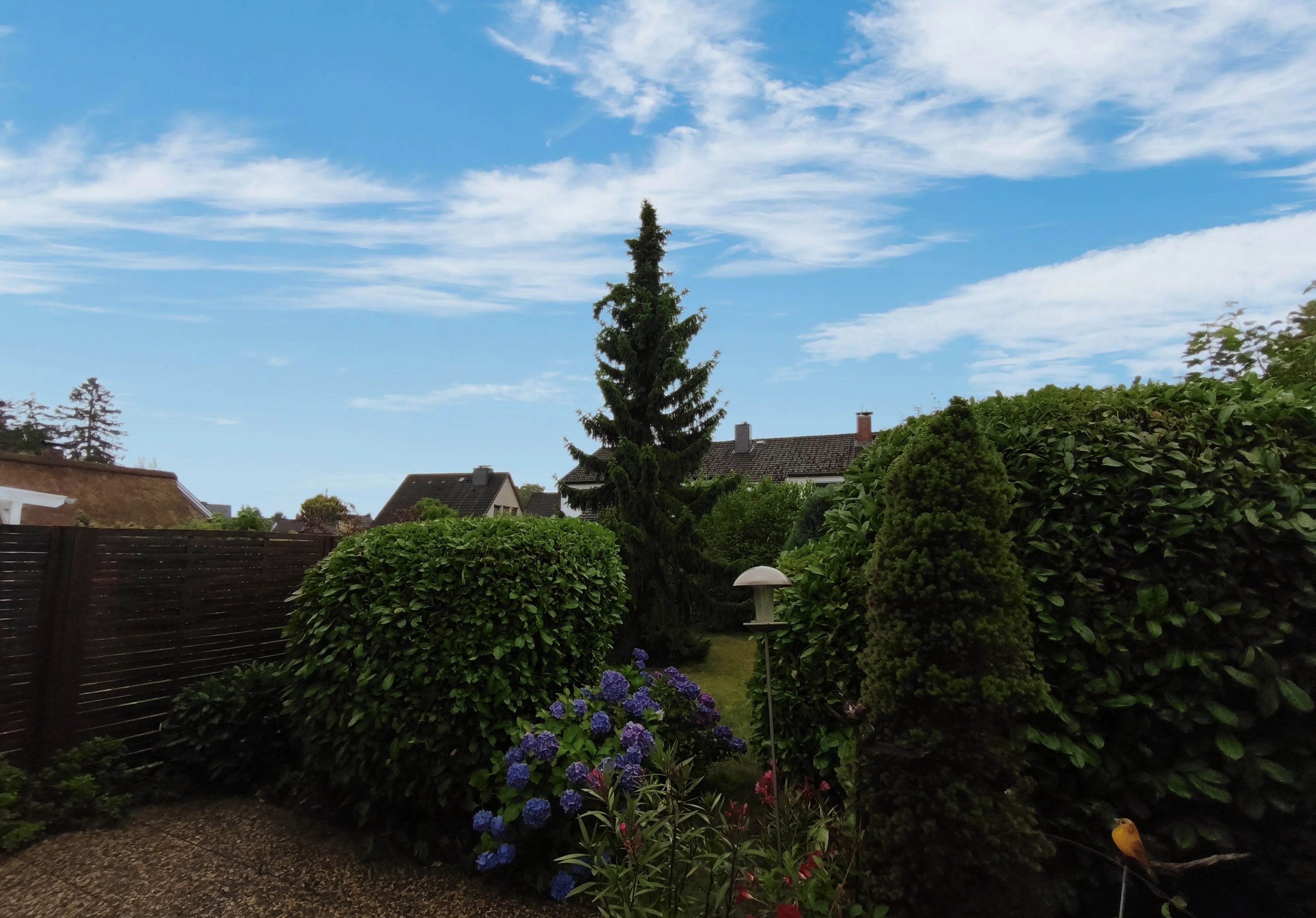 Terrassenbereich mit Blick in den Garten