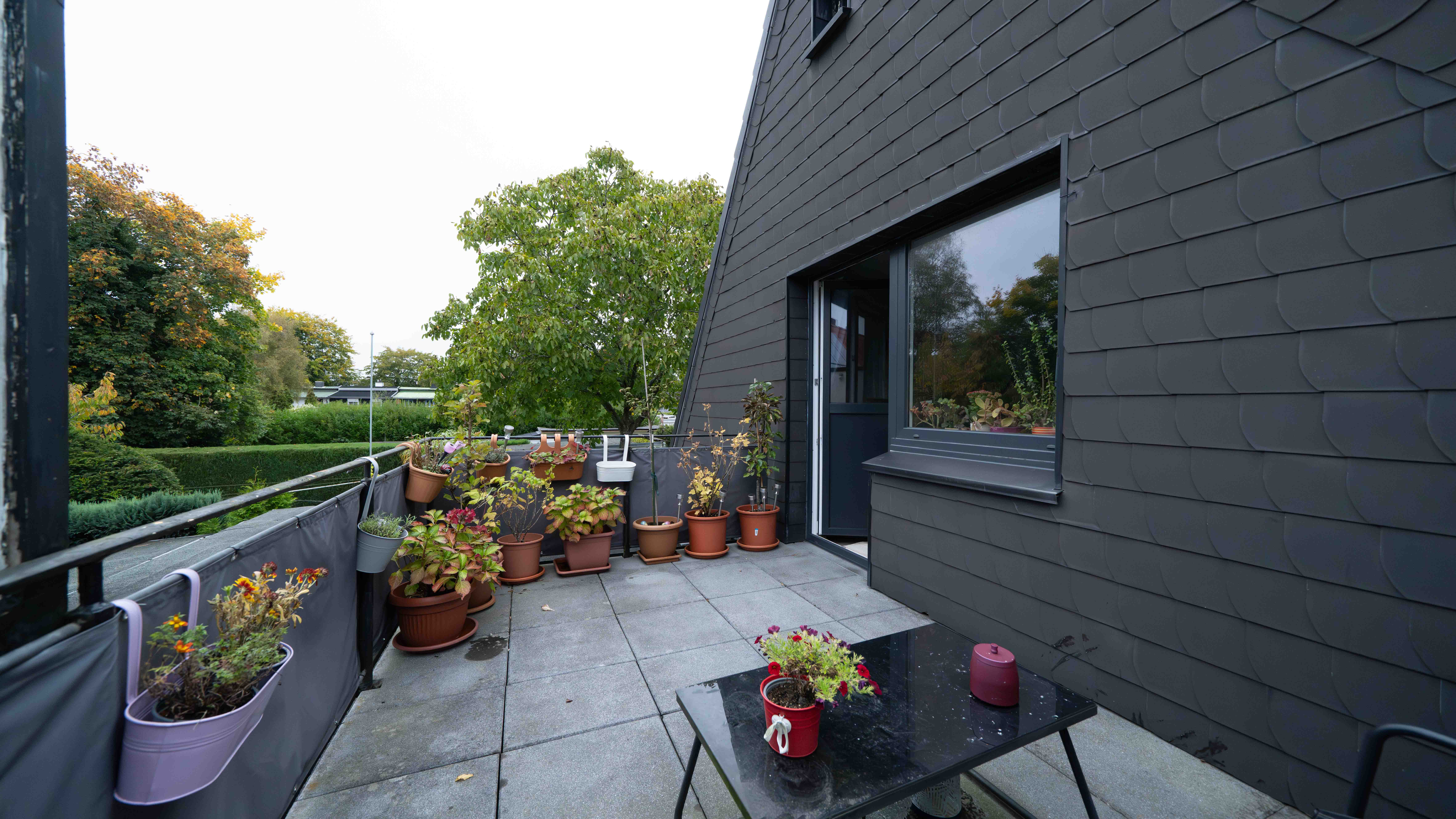 Dachterrasse WHG OG