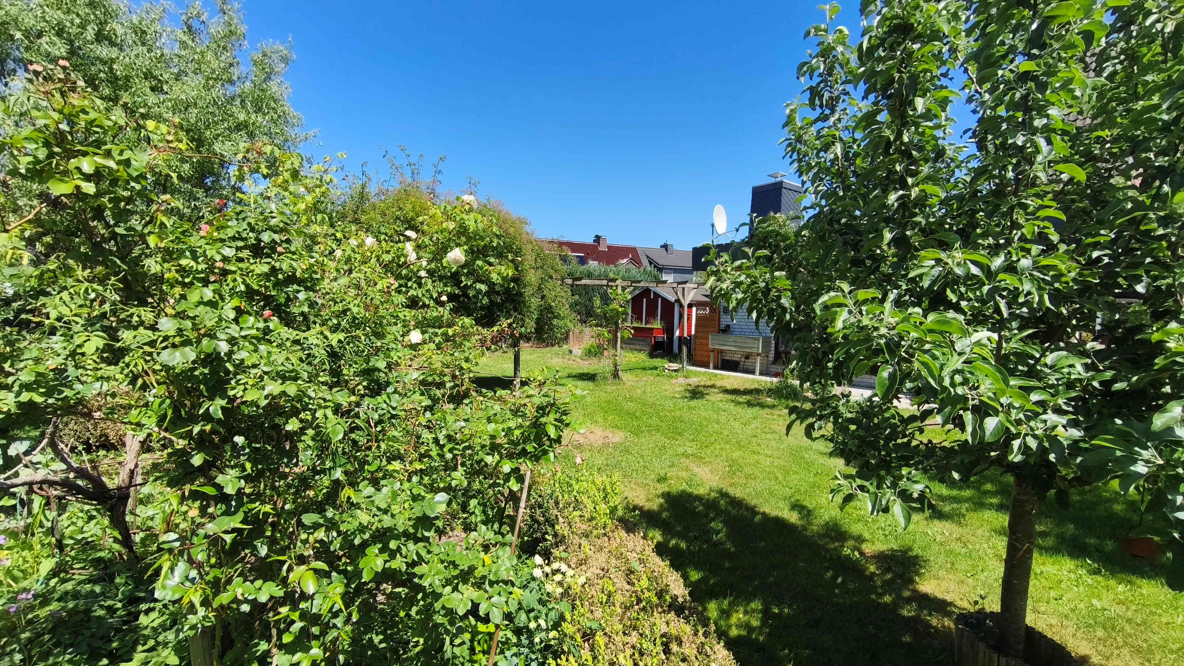 Garten (2)