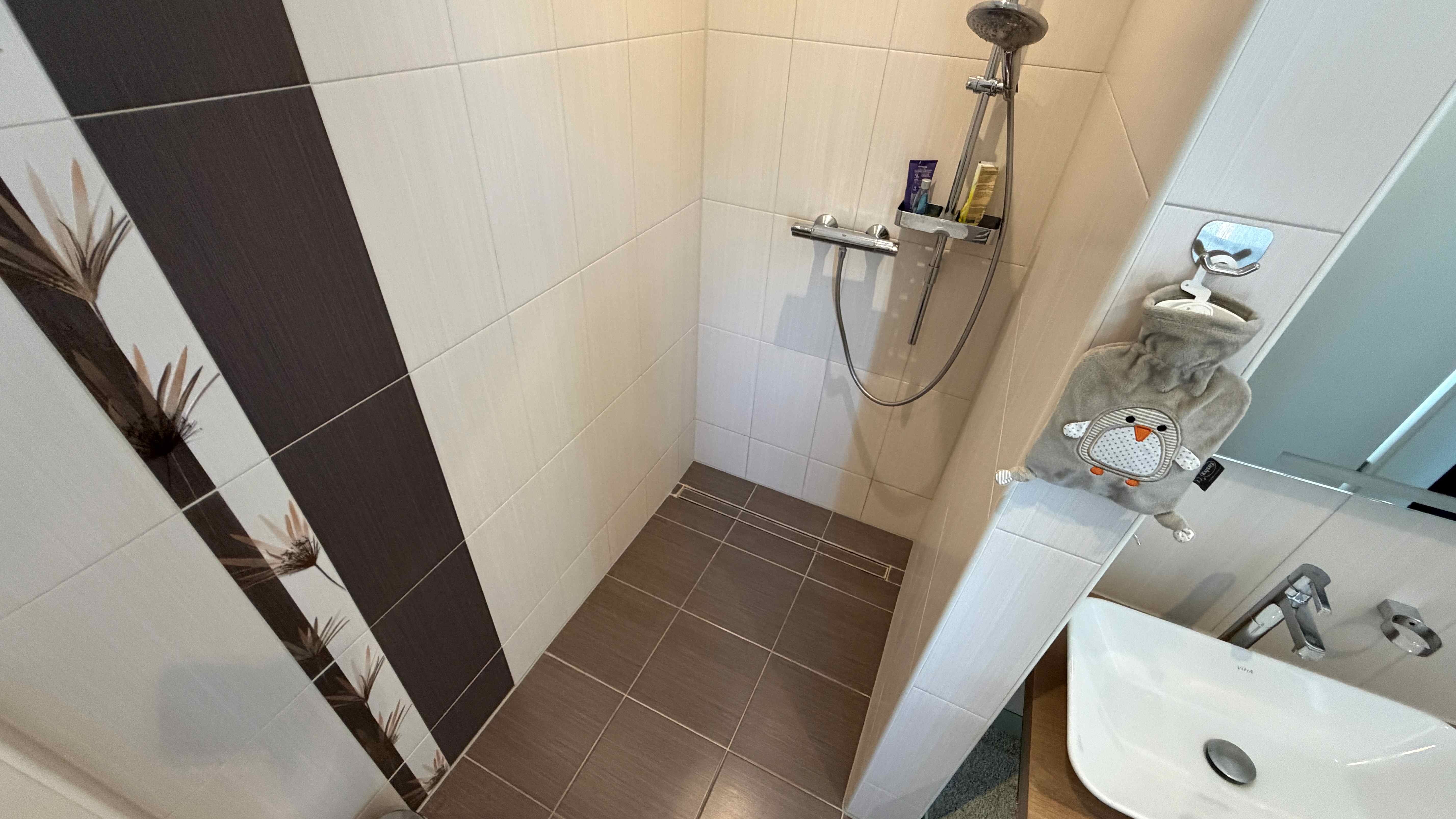 Dusche im Gäste-WC