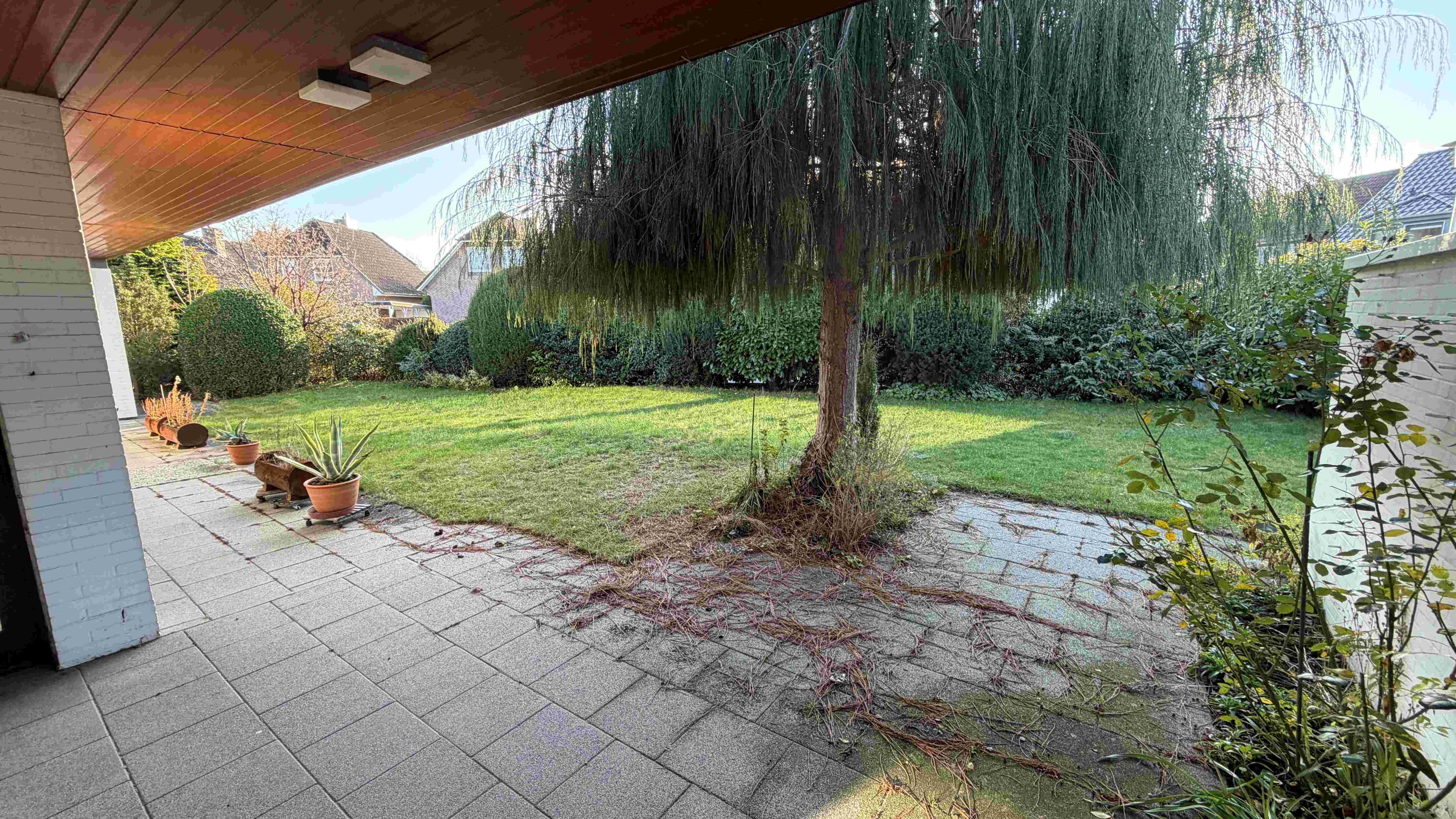 Garten (2)