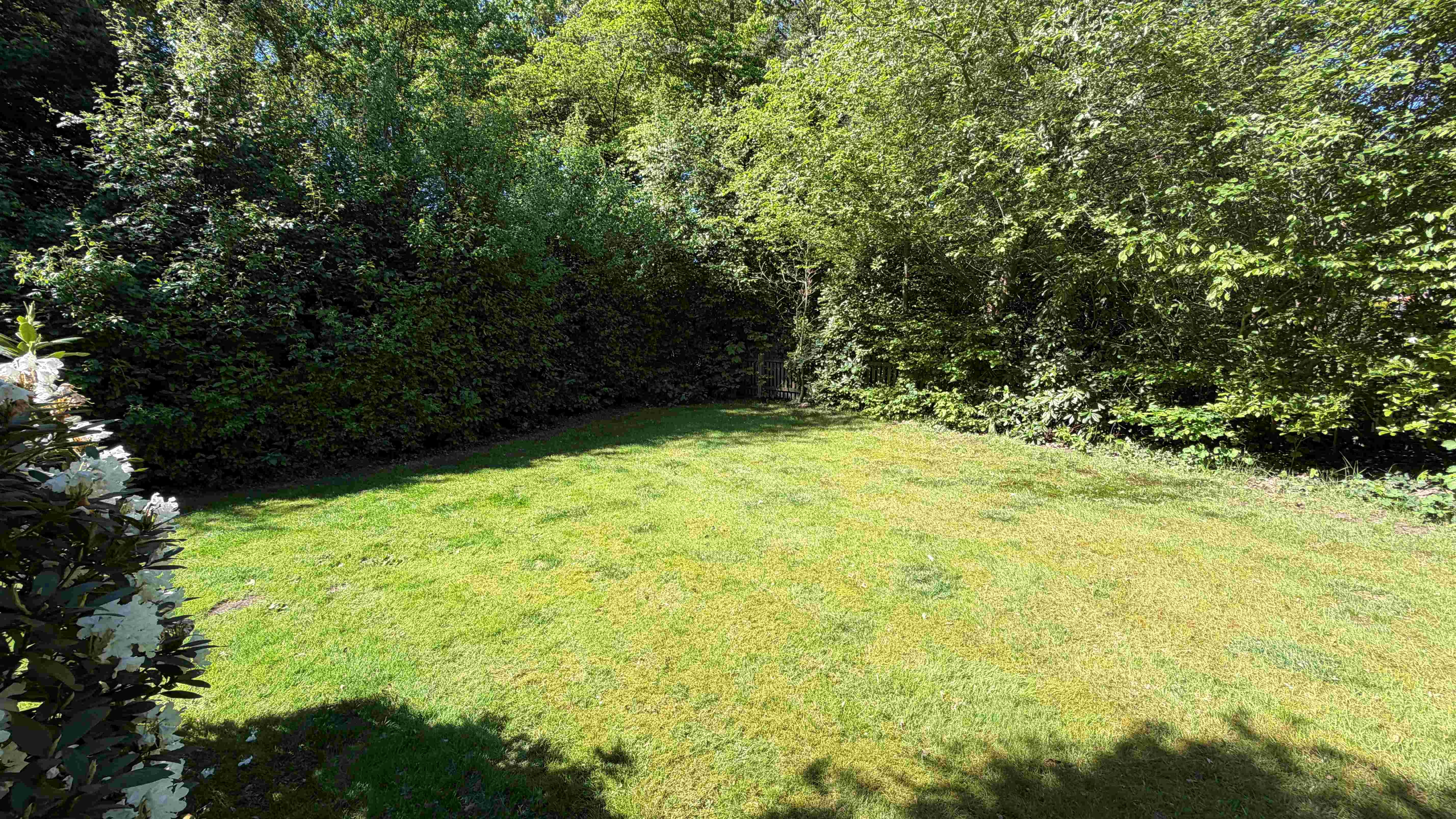 Gemeinschaftsgarten (1)