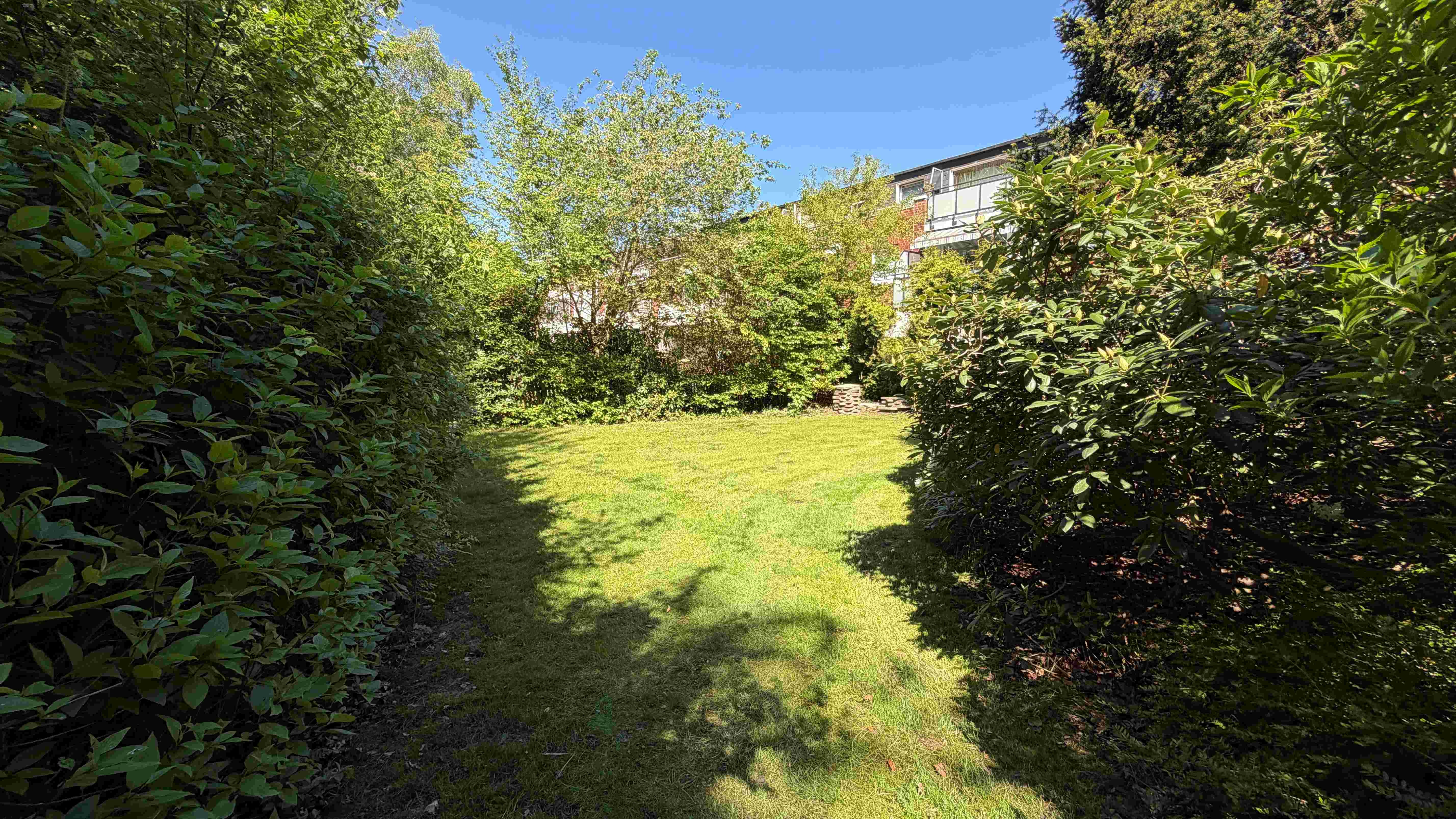 Gemeinschaftsgarten (2)