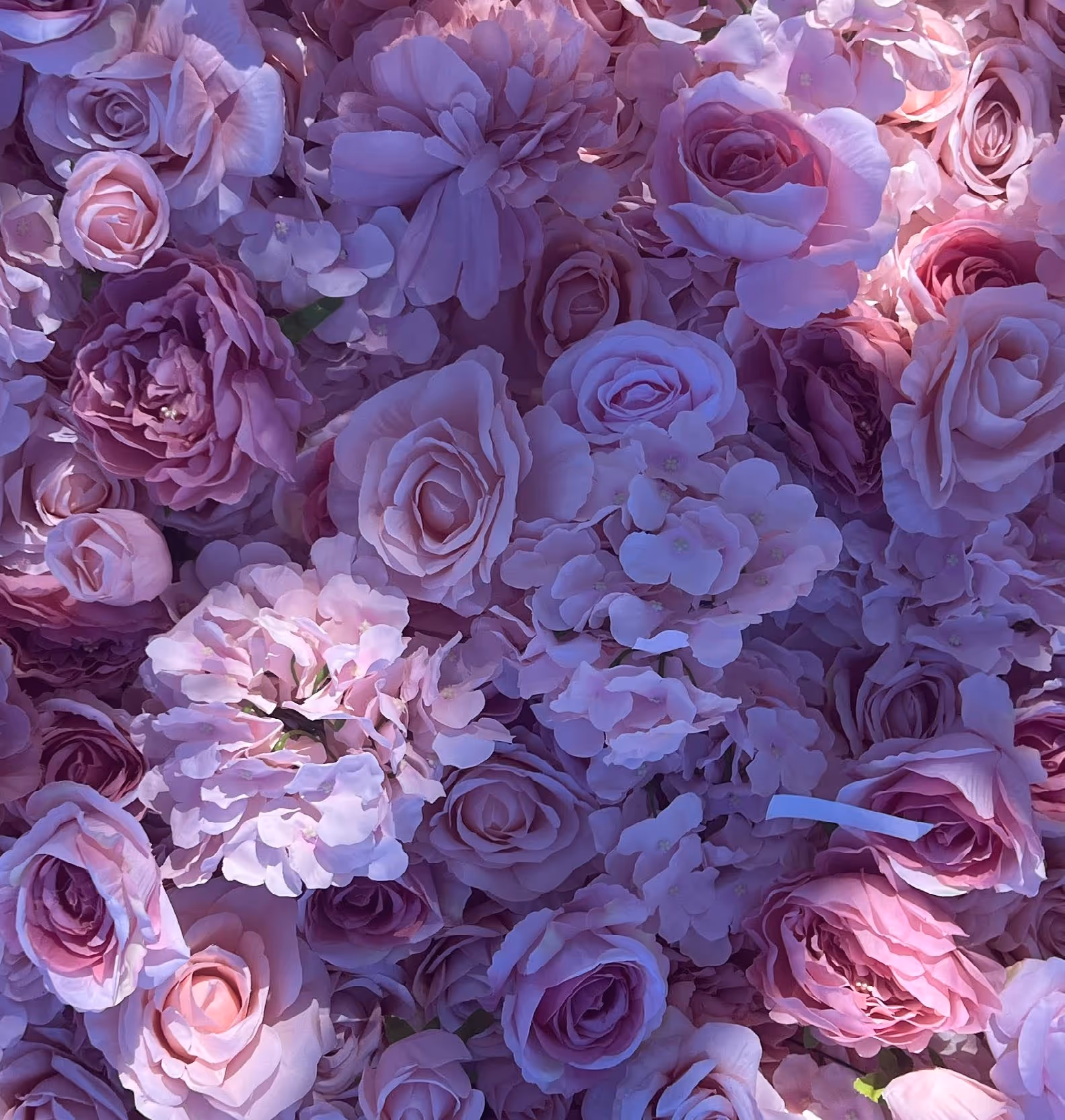 Bloom State of Mind: The Flower Wall Backdrop That Rewrites the Room 2