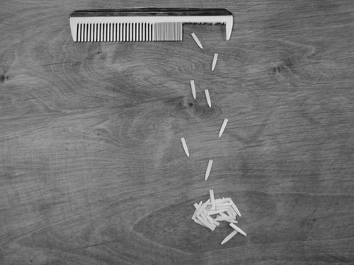 « APEPIPOPUP » : un spectacle que j’irai voir