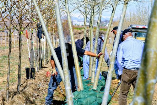 Multiplicador de la fuerza laboral