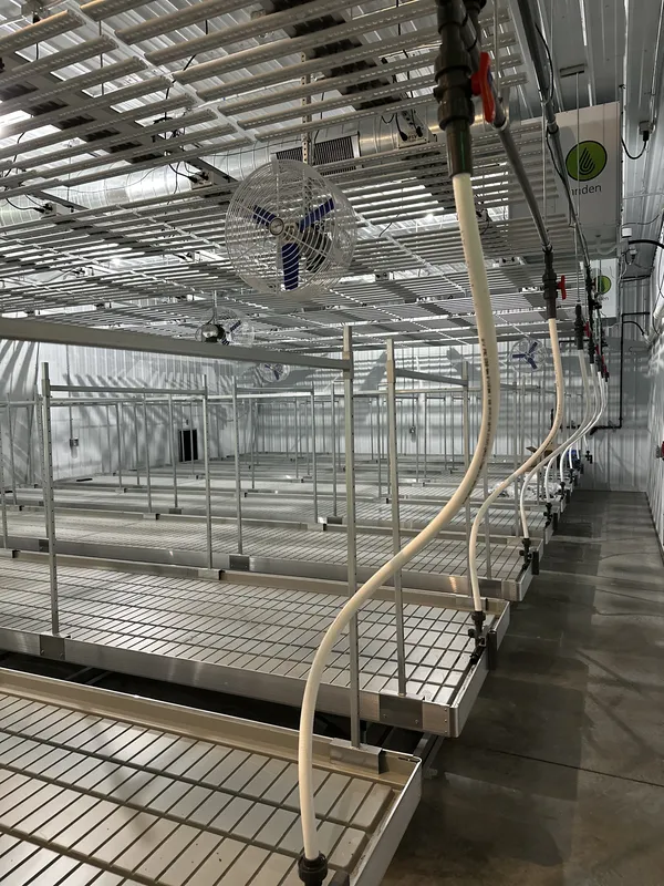 Empty grow room with rolling benches, irrigation lines, LED bars and a wall-mounted dehumidifier