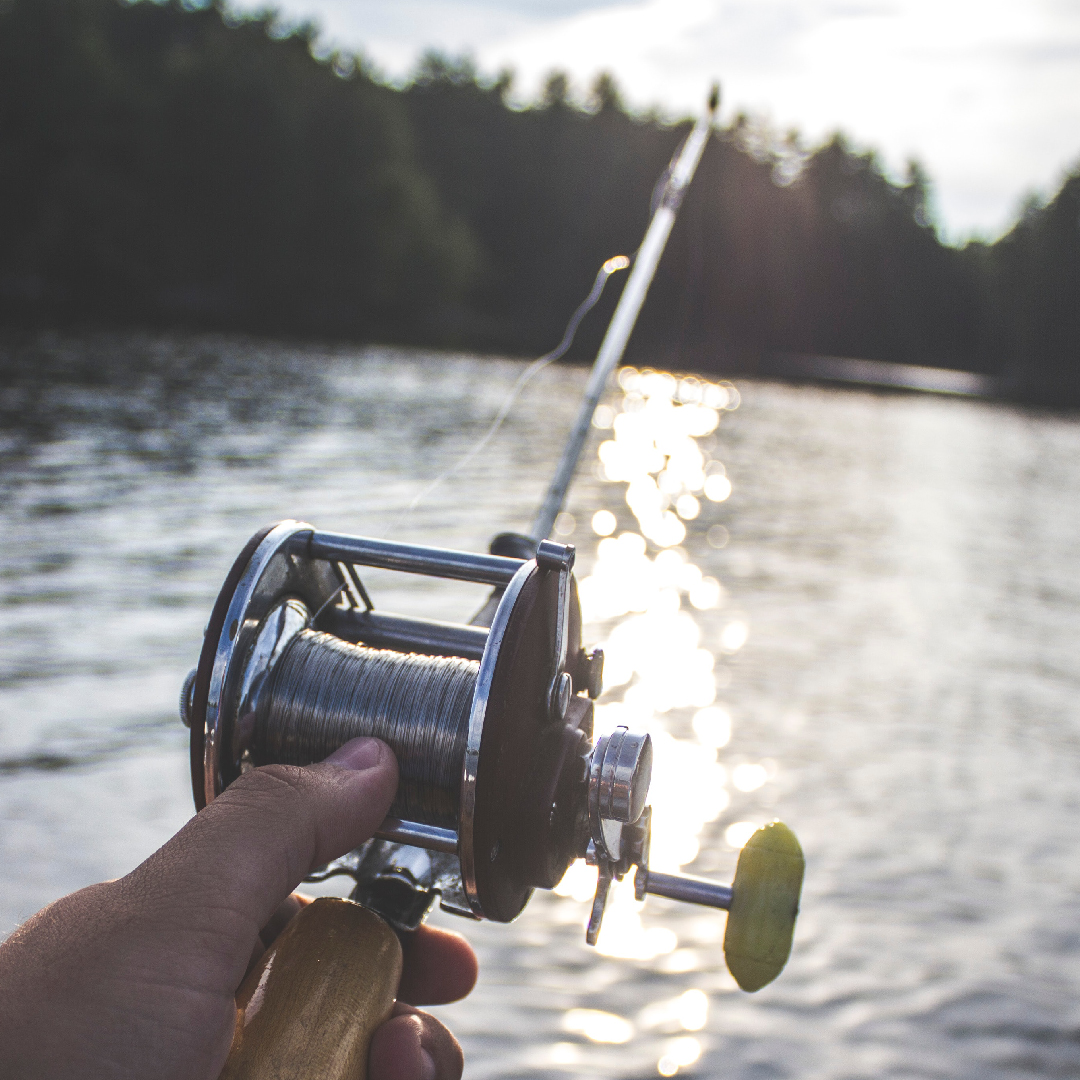 Craft beer brewery brand identity logo