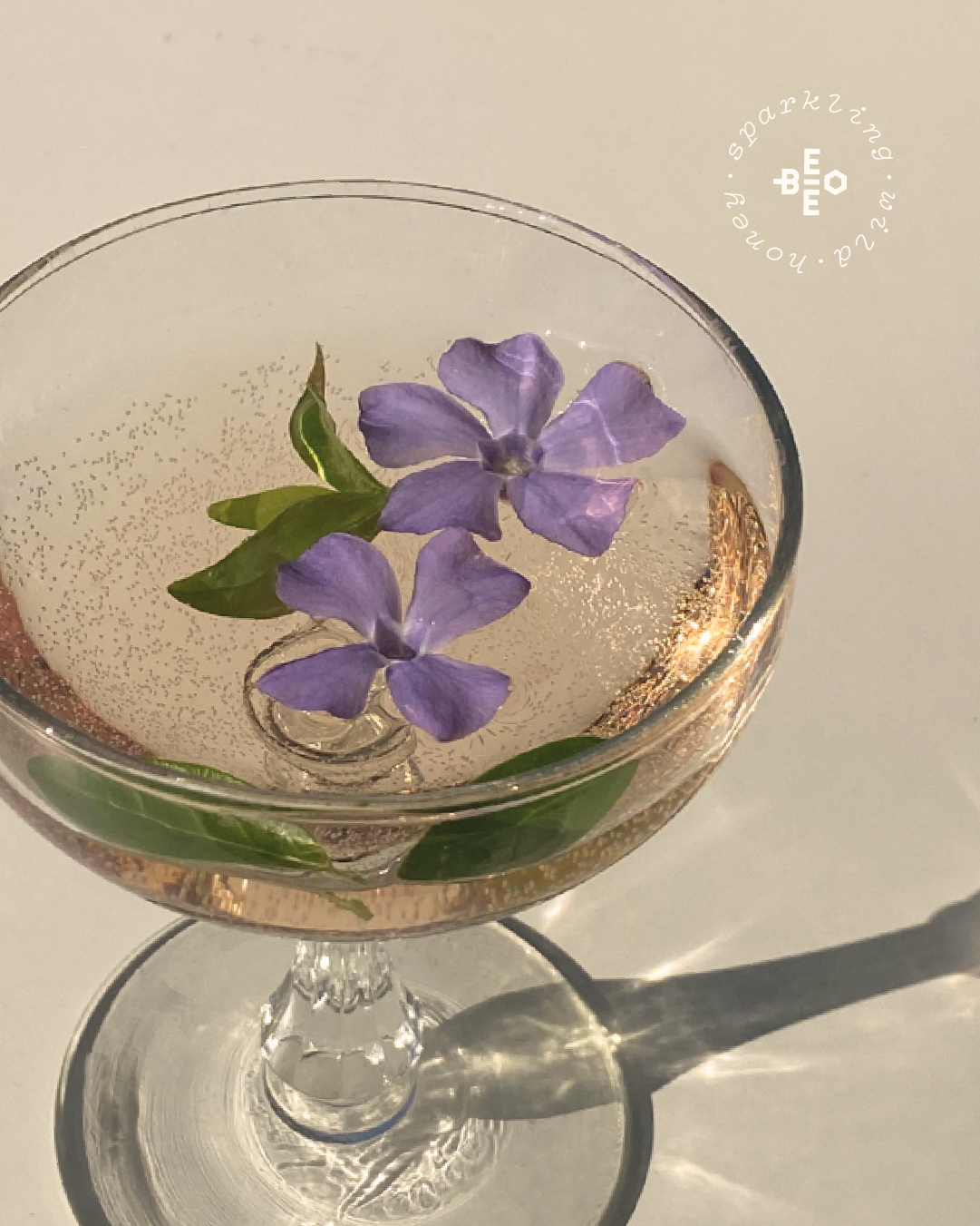 Craft brewed soda brand identity logo