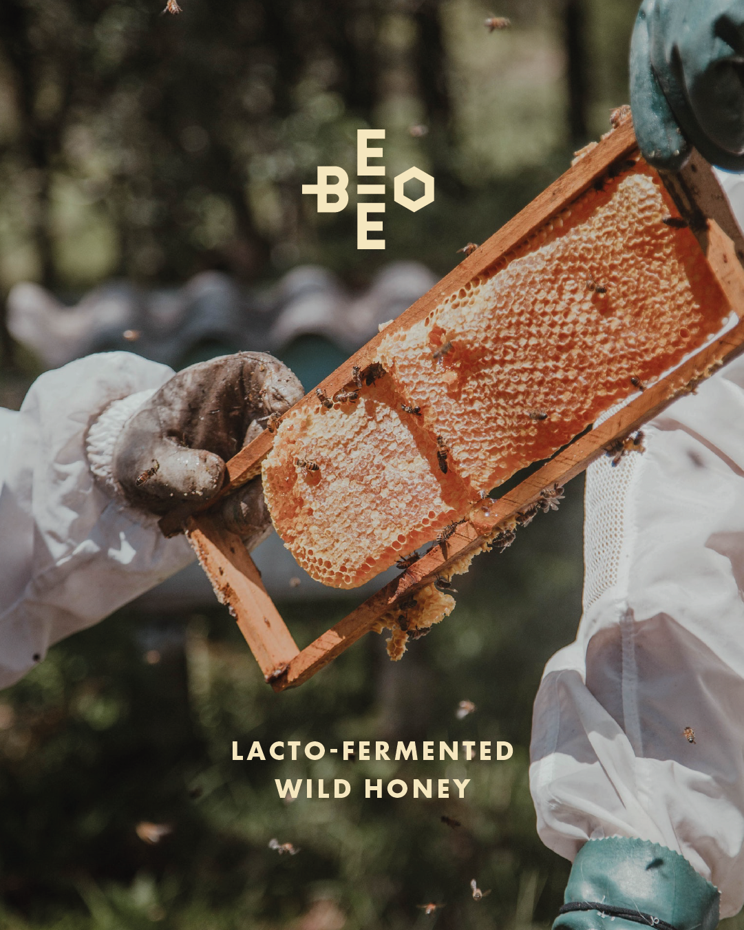 Craft brewed soda brand identity logo