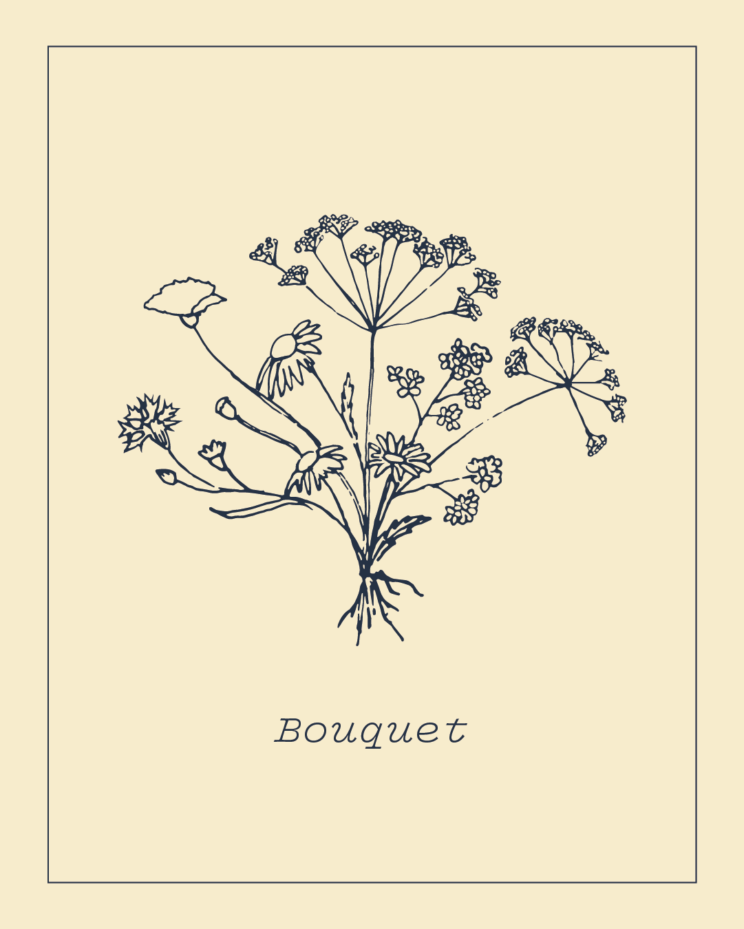 Craft brewed soda brand identity logo