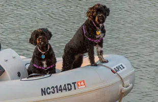 Planning a cruise with canine crew? These destinations are just right for you and your furry best friend.From San Fran, California to Key West, Florida....