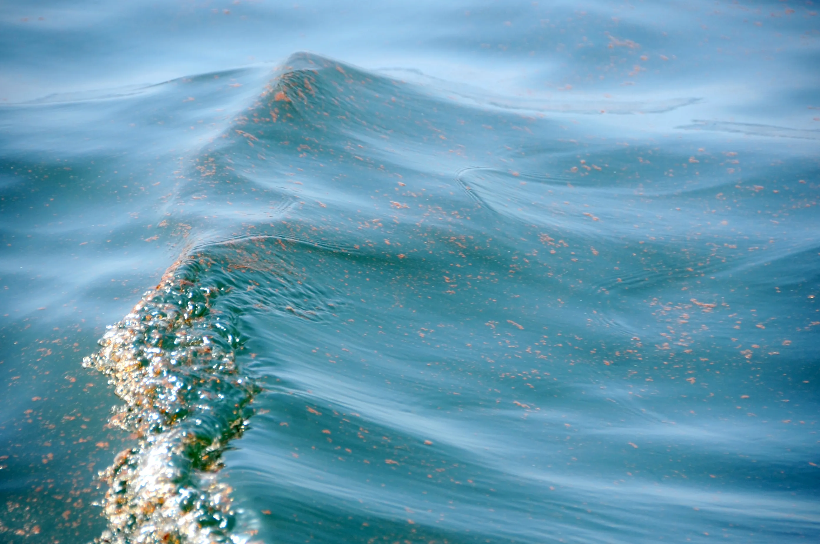 Eco-Friendly Boating matters now more than ever - and it is super easy to do! Be a clean ocean advocate with these simple tips.